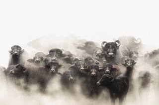 Céline Frers, fotografías de la Argentina tierra adentro