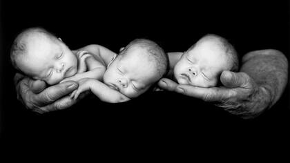 "Sus bebes se inscriben en una tradición de la historia del arte que se remonta a los angelotes traviesos y descarados del arte renacentista”, señala Holly Stuart Hughes, autora del prólogo