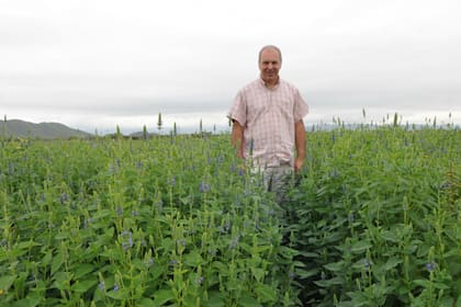 "Todo venía bárbaro hasta que el 11 de agosto (por las PASO) vino el tsunami y se llevó todo puesto", afirmó Duranti