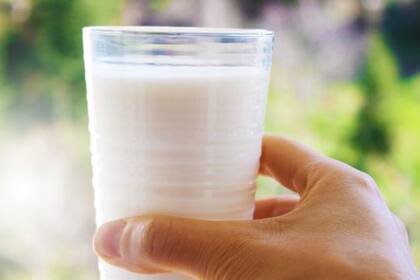 En regiones de larga tradición de producción de lácteos, como Europa, la población es mucho más tolerante a la lactosa que en Asia