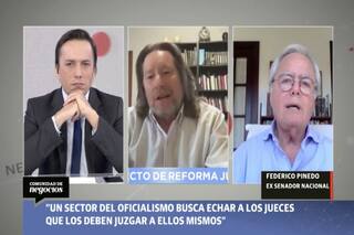 Pinedo. "Hay dos reformas judiciales: una en el Congreso y otra subterránea"