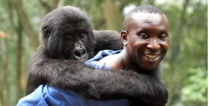 Andre Bauma y Ndakasi en el Parque Nacional Virunga
