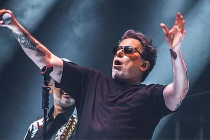 Andrés Calamaro fue contundente en sus redes sociales y opinó sobre el tratamiento de la Ley Bases