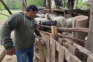 “Mi casa me la partieron”: Sauzal Bonito, el pueblo que empezó a temblar bajo la gran promesa de riqueza del fracking en Argentina