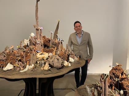 Andrés Paredes con su instalación "Volverse tierra", que incluye hormigueros y mariposas disecadas