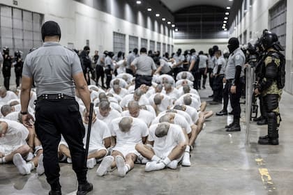 Andry es uno de los 238 venezolanos enviados a la megacárcel de El Salvador, acusados de pertenecer a El Tren de Aragua.