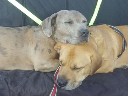 Andy descansa sin preocupaciones porque se sabe amado en una familia que lo respeta.