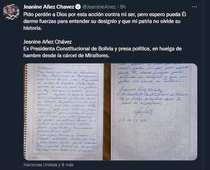 Añez realizó una huelga de hambre mientras cumplía prisión preventiva.