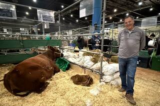 Dejó una fábrica y puso una cabaña ganadera donde todos los animales tienen nombres de pueblos