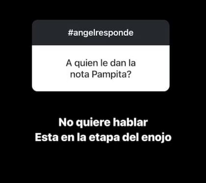 Ángel de Brito contó cómo se estaría sintiendo Pampita después de su separación de Roberto García Moritán