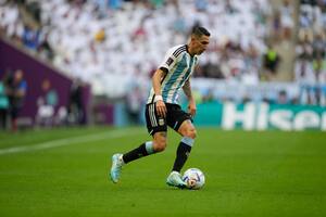 Ver online TyC Sports, TV Pública y DirecTV: Argentina vs. Polonia, en vivo