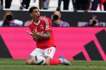 Ángel Di María sería titular en Benfica en el arranque del Mundial de Clubes