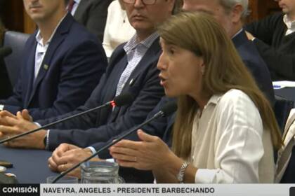 Ángeles Naveyra, presidenta de Barbechando