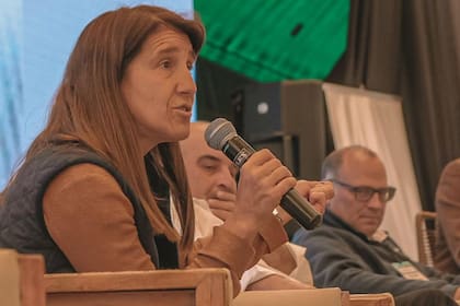 “Excluye al 99%”: una fundación del agro pidió que se contemple a las pymes dentro de un régimen de incentivo del Gobierno 3 Ángeles Naveyra, presidenta de la Fundación Barbechando