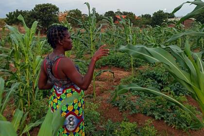 Angola está situada en el océano Atlántico. Su interior está representado por una gran meseta, donde nacen afluentes del río Congo y el río Zambeze. En el suroeste la gran llanura litoral es extremadamente árida y contrasta con la zona noreste del país, húmeda, donde predomina un paisaje de sabana.