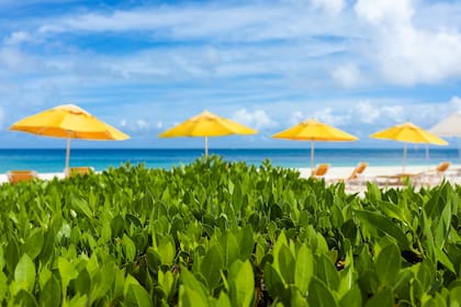 Anguila tiene 33 playas para elegir