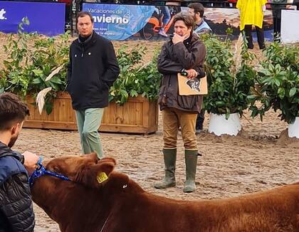 Angus mostrará su potencia ahora en Cañuelas