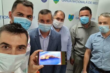 El ecologista Alex Gavan, formó un equipo para salvar al fósil viviente mediante la reproducción y la repoblación