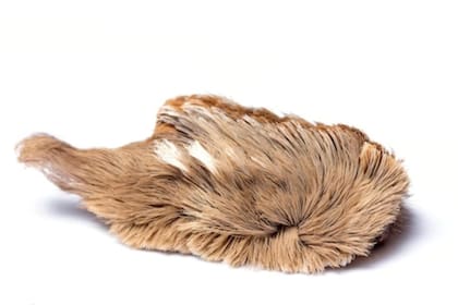 Las reacciones pueden incluir: sarpullido con picazón, vómitos, glándulas inflamadas y fiebre