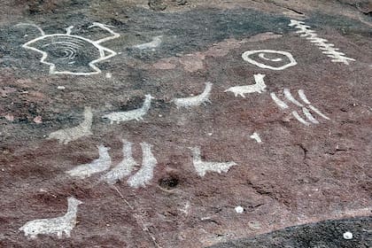 animales-una-de-las-tematicas-de-las-CU63WZNMLJBEXBSJFXLMSQROSE Enigma histórico: las asombrosas pinturas rupestres ocultas en cuevas cordobesas y que aún desvelan a los científicos
