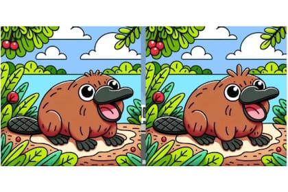 Animate a descubrir las diferencias de estas imágenes en tan solo 10 segundos