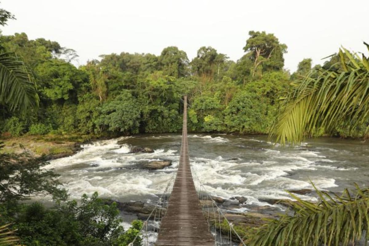 Resuelve el Acertijo Viral que Desafía a las Mentes Más Brillantes