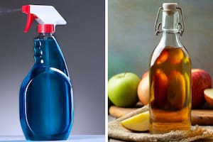 Anmat prohibió la venta de un desinfectante de superficies y un vinagre de manzana