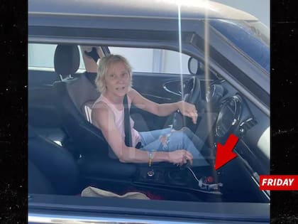 Anne Heche antes del accidente; TMZ marcó con una flecha una supuesta botella de alcohol