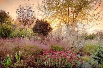 Annie Green-Armytage se hizo con el galardón a Jardines hermosos con una foto que tomó en otoño en el patio trasero de una casa de Suffolk