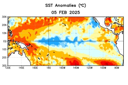 Anomalías (°C) promedio de la temperatura de la superficie del océano (SST, por sus siglas en inglés) para la semana centrada el 5 de febrero de 2025. Las anomalías son calculadas utilizando como referencia los periodos promedio semanales de 1991-2020