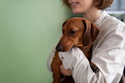 Años atrás, parecía impensado que una persona contrate una prepaga para su mascota