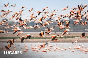 Ansenuza es un lugar impactante.