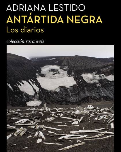 Antártida negra