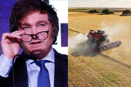 Antes de asumir, el Gobierno de Javier Milei, se comprometió a bajar las retenciones al trigo