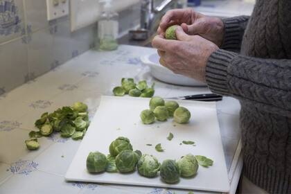 Antes de cocinarlas se debe enjuagar las coles de Bruselas con agua corriente fría para eliminar cualquier residuo, cortar los tallos inferiores duros y retirar las hojas exteriores que perdieron el color. Canva-Harvard Escuela de Salud Pública
