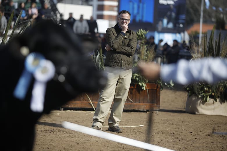 Una Brangus de Corral de Guardia fue elegida Gran Campeón Hembra en Palermo por su funcionalidad y genética