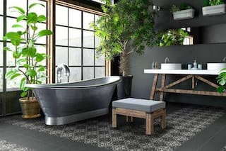 Las plantas que no debés poner en el baño si no tenés ventanas ni luz natural