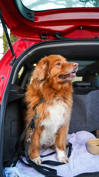 Antes de emprender el viaje por la ruta es necesario familiarizarlo con el automóvil