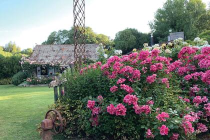 Antes de establecerse en el lugar, Ezequiel y Marisa bocetaron el diseño del jardín que soñaban.