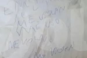 Antes de fallecer, Evelyn denunció en una servilleta que un enfermero la violaba.