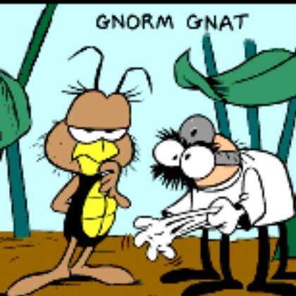 Antes de Garfield, Jim Davis hizo una tira de un mosquito llamado Gnorm que no pasó de publicarse de un diario local