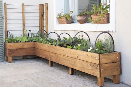 Antes de iniciar el diseño de una huerta, es importante tener en cuenta la orientación, la disponibilidad de agua y el espacio que podemos destinarle