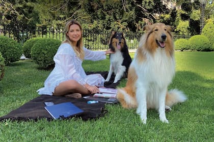 Antes de la llegada de Blue, Fabiola en una instantánea con Dylan, el dorado, y Prócer, el tricolor