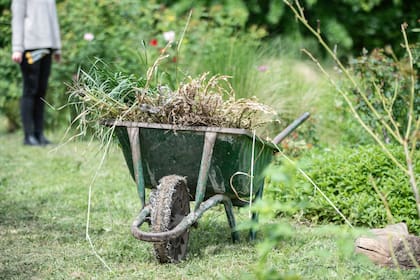 Antes de llegar al otoño, el jardín necesita algunas tareas de orden y limpieza