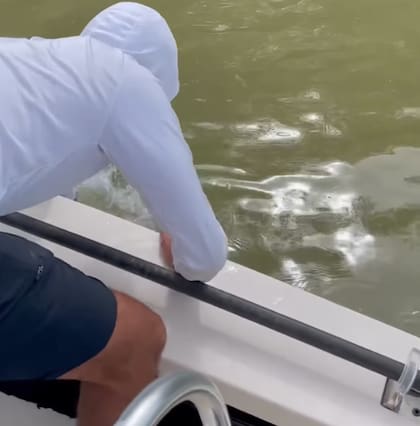 Antes de que saliera el tiburón, el hombre pensó que su hazaña resultaría exitosa
