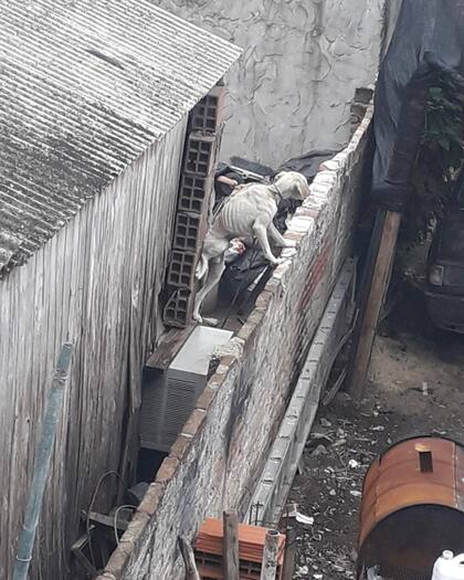 Antes de tomar fuerzas y obtener una nueva vida, Samir se encontraba en esta situación con una familia que nunca lo cuidó