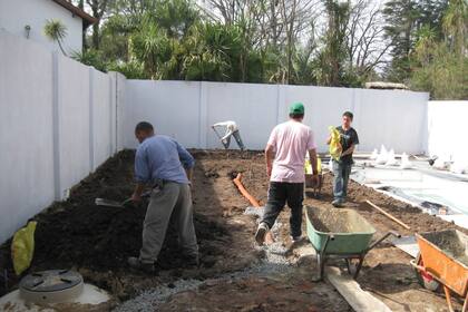 Antes: el jardín posterior en construcción. Las copas de los árboles y palmeras vecinas enriquecen y expanden las visuales del jardín topiario.