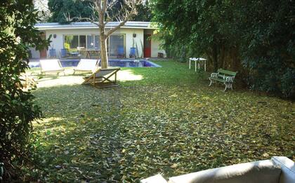 Antes, las medianeras laterales estaban disimuladas por varios Ficus benjamina plantados muy cerca de ellas y entre sí, un problema a resolver.