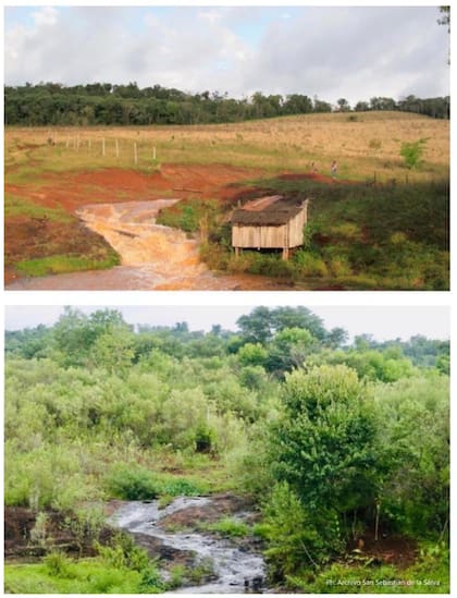 Antes y después: el terreno donde se creó la reserva Bayka.