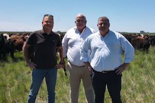 Llegó al país hace 30 años y creó una solución para un problema que pocos miraban